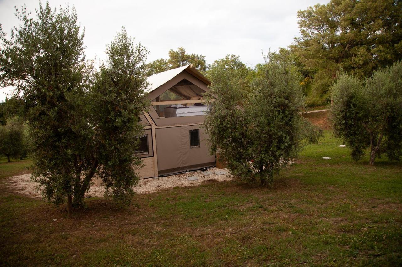 Agriturismo Podere Prataccio Grosseto Exterior foto